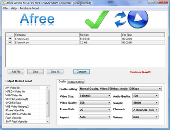 Afree AVI to MP4 FLV MPEG WMV Converter screenshot