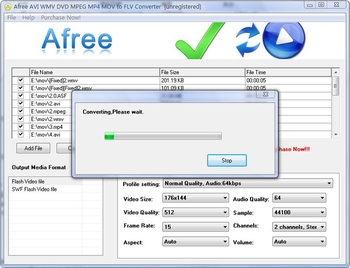 Afree AVI WMV DVD MPEG to FLV Converter screenshot