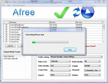 Afree AVI WMV DVD MPEG to FLV Converter screenshot 2