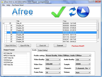 Afree DVD to AVI DIVX MPEG WMV Ripper screenshot