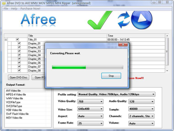 Afree DVD to AVI WMV MOV MPEG MP4 Ripper screenshot