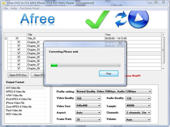 Afree DVD to FLV MP4 iPhone iPod Ripper screenshot
