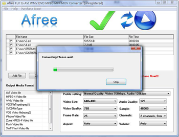 Afree FLV to AVI WMV DVD MPEG Converter screenshot