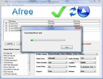Afree FLV to AVI WMV DVD MPEG Converter screenshot 2