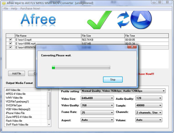 Afree MP4 to AVI FLV MPEG WMV Converter screenshot