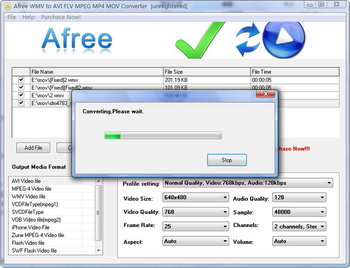 Afree WMV to AVI FLV MPEG MP4 Converter screenshot