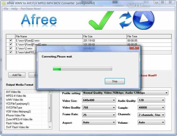 Afree WMV to AVI FLV MPEG MP4 Converter screenshot 3