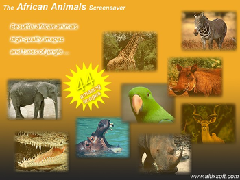 African Animals Screensaver screenshot 2