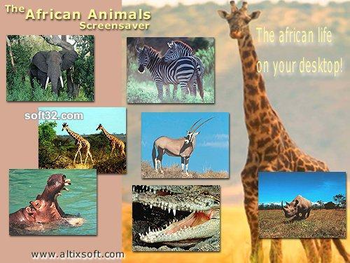African Animals Screensaver screenshot 3