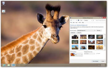 African Wildlife Theme screenshot