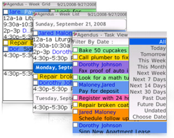 Agendus for BlackBerry screenshot