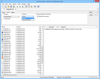 Agent Ransack screenshot 2