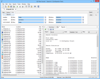 Agent Ransack screenshot 3