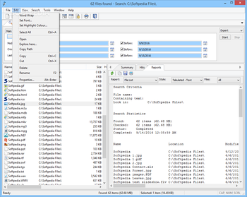 Agent Ransack screenshot 5