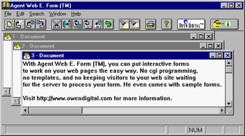 Agent Web E. Form (TM) screenshot