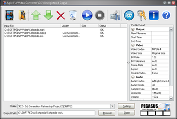 Agile FLV Video Converter screenshot