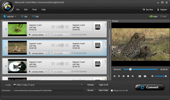Aiseesoft Sansa Media Converter screenshot