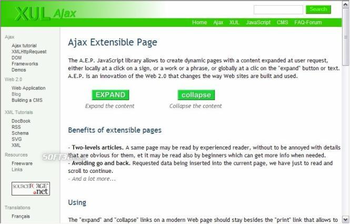 Ajax Extensible Page screenshot 2