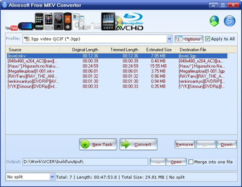 Aleesoft Free MKV Converter screenshot 2