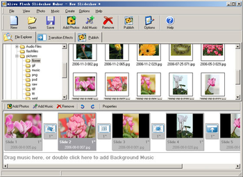 Alive Flash Slideshow Maker screenshot 2