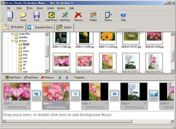 Alive Flash Slideshow Maker screenshot 3