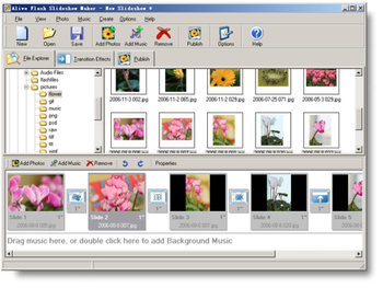 Alive Flash Slideshow Maker screenshot