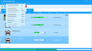 Allavsoft screenshot 4