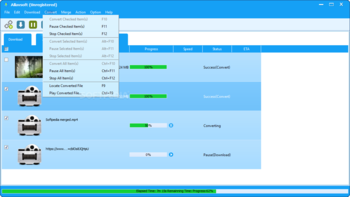 Allavsoft screenshot 5