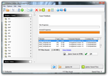 AllMedia Grabber screenshot 2