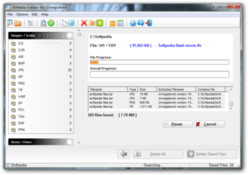 AllMedia Grabber screenshot 3