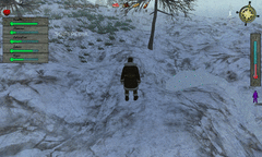 Alone In Winter screenshot 6