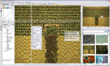Altami Studio screenshot 2