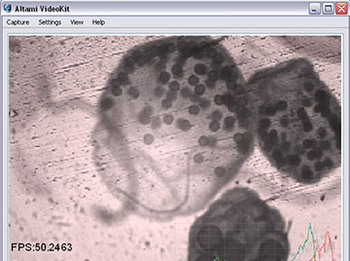 Altami VideoKit screenshot