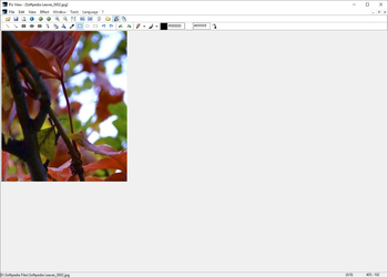 Alternate Pic View screenshot