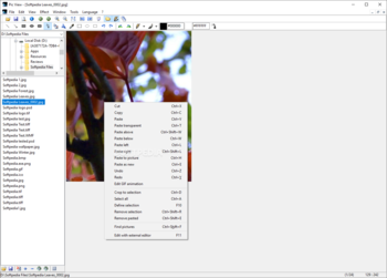Alternate Pic View screenshot 9