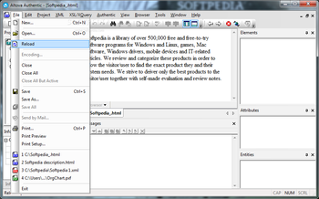 Altova Authentic Community Edition screenshot 2