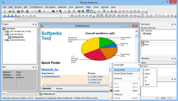 Altova Authentic Enterprise Edition screenshot 2