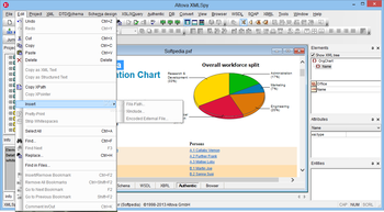 Altova XMLSpy Enterprise Edition screenshot 3