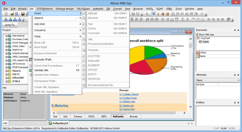 Altova XMLSpy Enterprise Edition screenshot 5