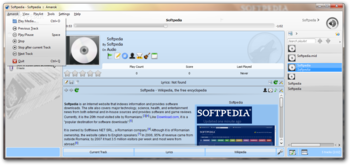 Amarok screenshot 2