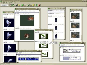 AMC GIF Construction Set Pro screenshot 2