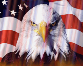 American Flag Screensaver screenshot