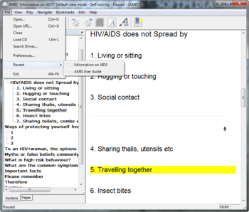 AMIS screenshot 2