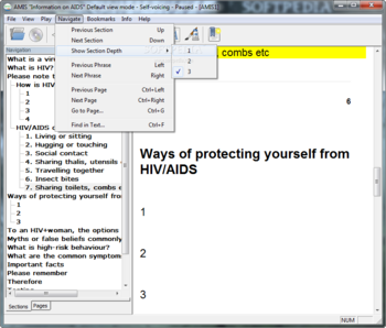 AMIS screenshot 5