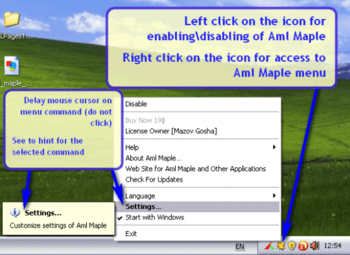 Aml Maple Portable screenshot 2