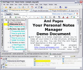 Aml Pages screenshot