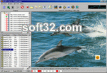 Amor Photo Downloader screenshot