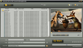 Aneesoft DVD to MKV Converter screenshot