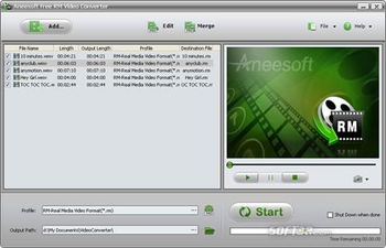 Aneesoft RM Video Converter screenshot 2