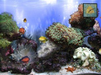 Anemone`s Reef screenshot 2